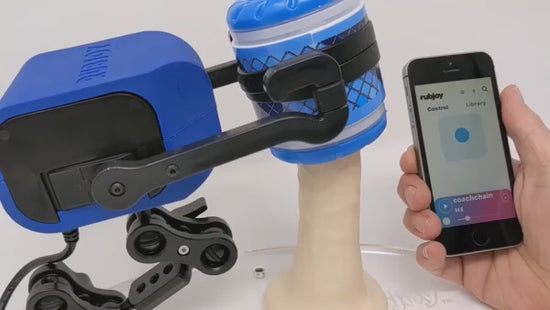 Smartphone app controlling the sex robot